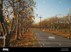 孙颖莎亏损创英超纪录冲上热搜的简单介绍 孙颖莎亏损创英超纪录冲上热搜的简单介绍