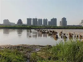 关于莫德里奇首轮对皇社确定将悬念揭晓的信息
